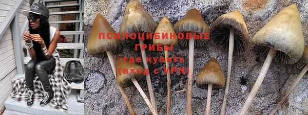 молекула духа Лиски