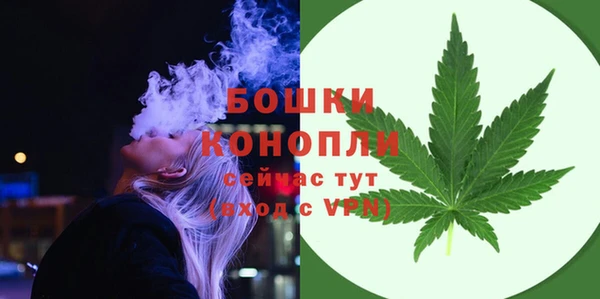 сатива Липки