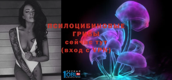 mdpv Магадан