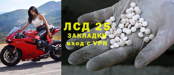 ПСИЛОЦИБИНОВЫЕ ГРИБЫ Майский